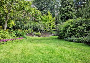 Optimiser l'expérience du jardin à Larians-et-Munans